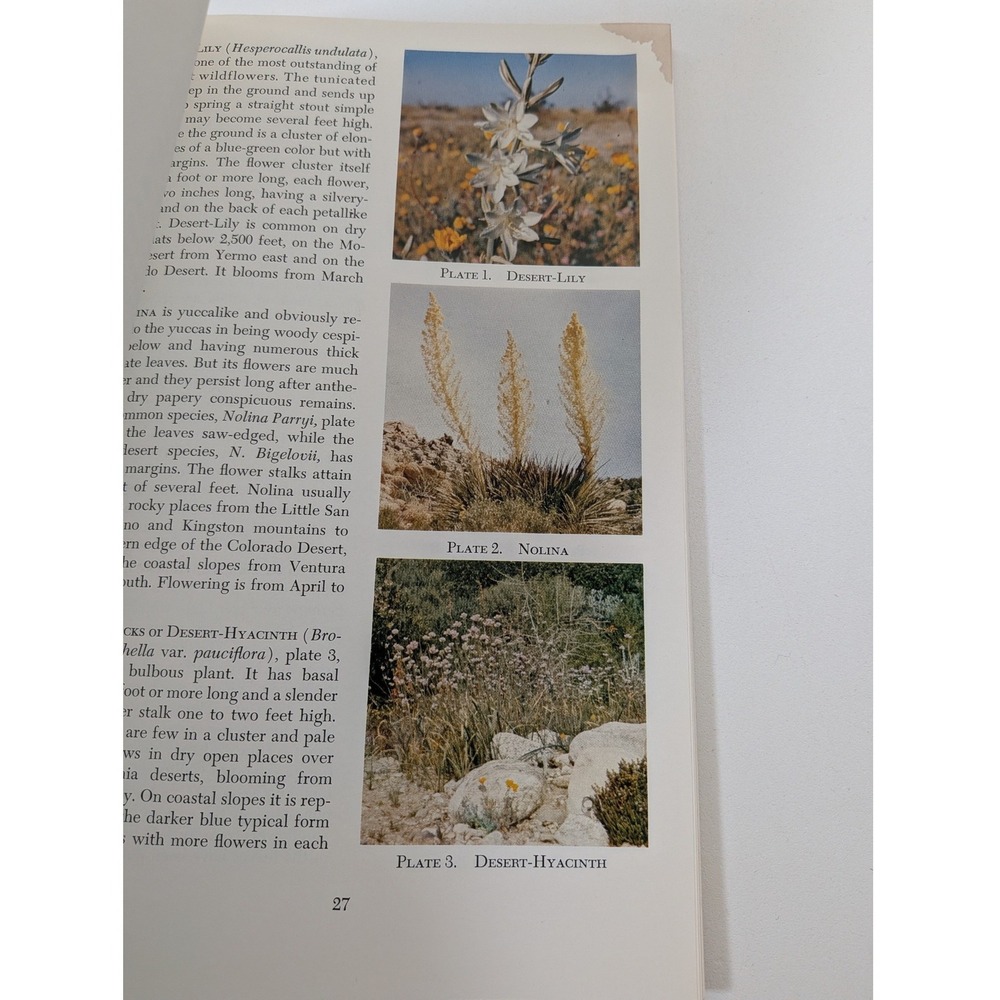 Philip A Munz California Wildflower Books Set Desert Mountain Spring 3 Volumes - Picture 7 of 8